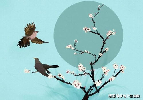 古詩(shī)詞中有鳥的詩(shī)句