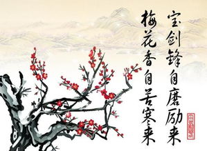 詠荷花的詩(shī)句古詩(shī),關(guān)于寫(xiě)荷花的詩(shī)句古詩(shī),關(guān)于贊美荷花的詩(shī)句古詩(shī)