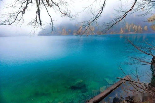 王維關(guān)于秋雨的古詩句