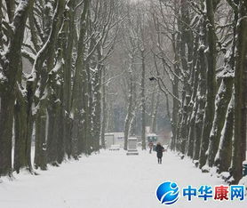 贊美冬贊美冬天的詩句古詩