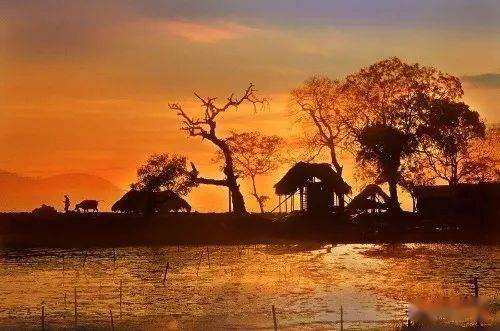 寫一句表達(dá)思鄉(xiāng)情感的古詩句