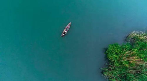 有關(guān)于安逸的詩句