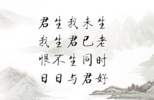 關(guān)于有緣無分的詩句