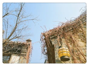 關(guān)于水和陽(yáng)光的詩(shī)句