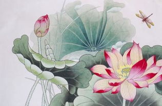 關于荷花的詩句與名篇