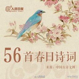 寫春花的古詩句有哪些?,關(guān)于春花的古詩句,描寫春花的古詩句