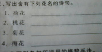 梅花菊花荷花桃花詩句古詩