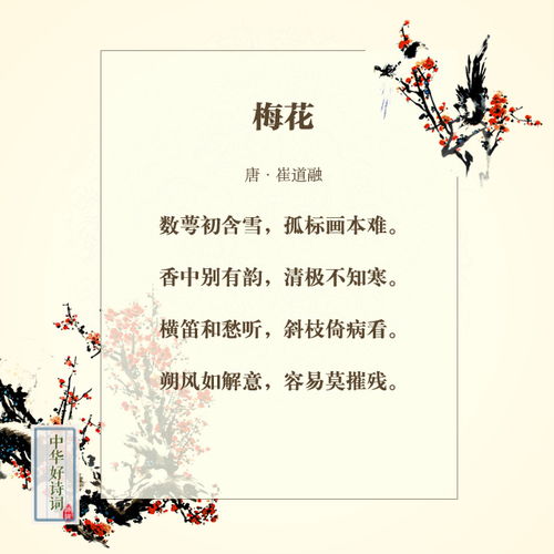 關(guān)于梅花的成語(yǔ)與詩(shī)句