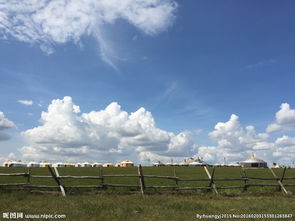 關(guān)于馬場草原的詩句