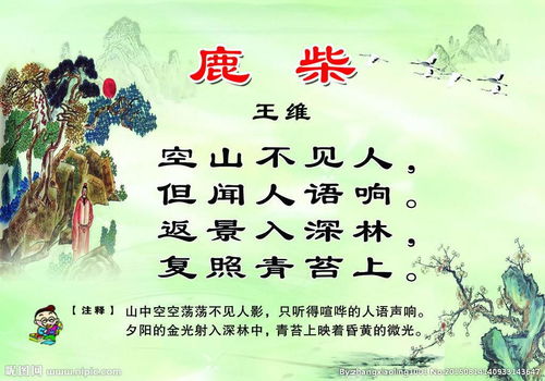 關(guān)于共鳴的詩句