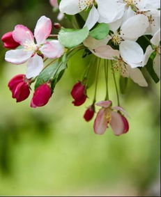 詩句,溢出,聲音