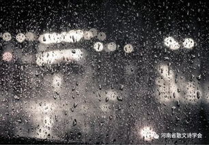 冬雨,古詩詞,詩句,于雪