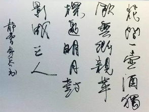 關(guān)于針線好的詩(shī)句