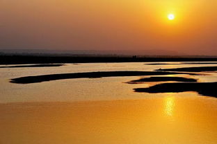 搜索關(guān)于黃河的詩(shī)句