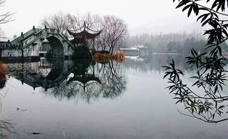 關(guān)于橋風(fēng)的詩句