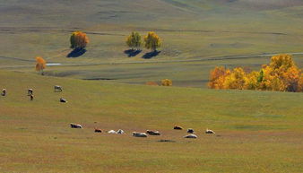 關(guān)于6月的贊美詩句