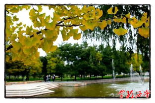 關(guān)于西峰的詩句