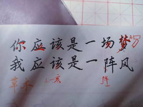 寫酒的詩(shī)句古詩(shī)名句,關(guān)于描寫酒的詩(shī)句古詩(shī),有關(guān)酒的詩(shī)句古詩(shī)