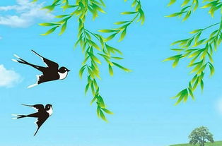 小學(xué)三級(jí)關(guān)于燕子的詩(shī)句古詩(shī)詞