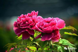 關(guān)于隱忍的古詩句有什么