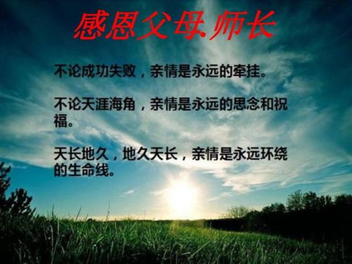 關(guān)于課外描寫(xiě)父母之愛(ài)的詩(shī)句