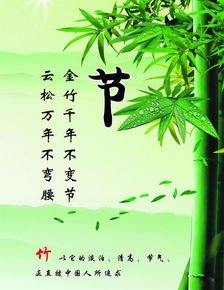 冬天的詩(shī)句古詩(shī)大全,關(guān)于竹子的詩(shī)句古詩(shī)大全,描寫(xiě)冬天的詩(shī)句古詩(shī)大全