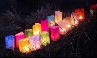 關(guān)于正月十五送燈的詩(shī)句