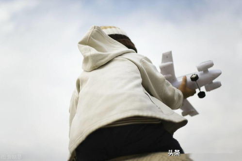 關(guān)于鼓勵(lì)從小樹立志向的詩句