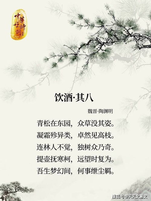 關(guān)于松樹與雪的詩句