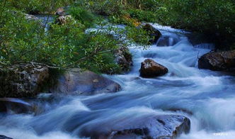 古詩(shī)中關(guān)于水的詩(shī)句