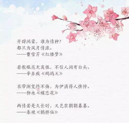 鴛鴦戲水的詩句情話,撩人詩句情話,星河的詩句情話