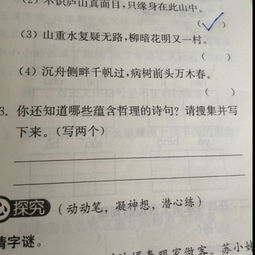 關于含有哲理的詩句摘抄