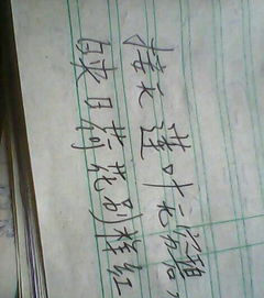 描寫蓮花的名詩句古詩詞