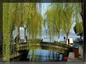 西湖雨詩(shī)句古詩(shī)