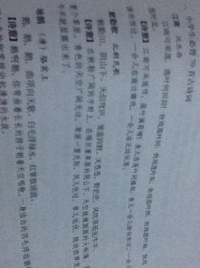 描寫夏天的古詩句4首