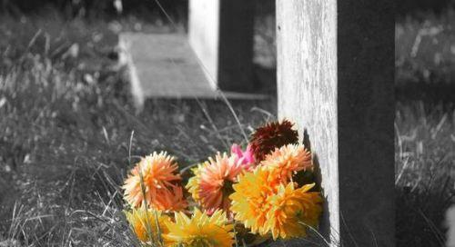 詩句,夢見,親人