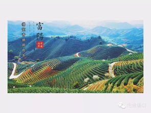 關(guān)于富陽(yáng)的詩(shī)句