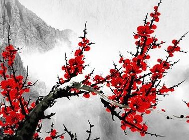 古詩詞,詩句,梅花,中秋