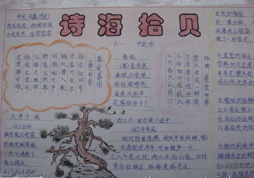 二年級上冊關(guān)于中秋節(jié)的詩句,五年級上冊詩句手抄報(bào),二年級上冊思念故鄉(xiāng)的詩句