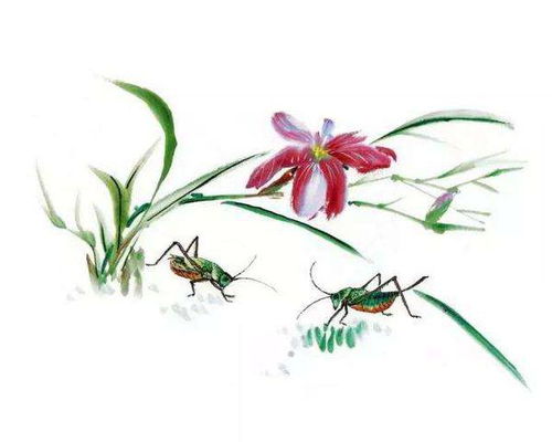 詩(shī)句,描寫(xiě),詩(shī)中,初中