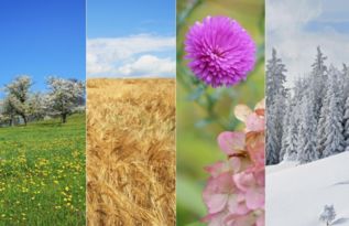 詩句,季節(jié),有哪些