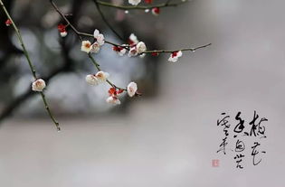 關于擁有幸福的詩句