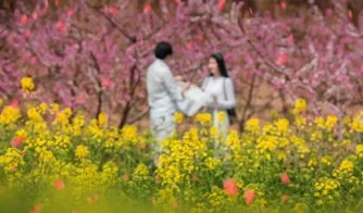 贊美樹品質(zhì)的詩句,描寫樹品質(zhì)的詩句,樹比喻人的品質(zhì)詩句