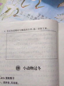 還知道g關于梅的詩句