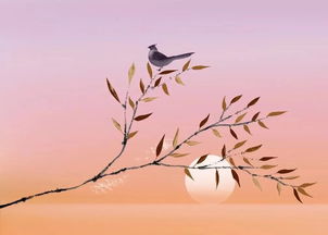 古詩(shī)天意憐幽草的詩(shī)句現(xiàn)代應(yīng)用