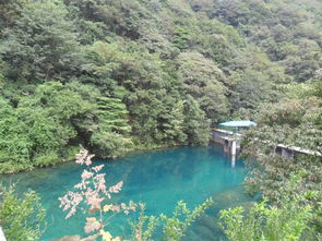 關于看到瀑布的詩句