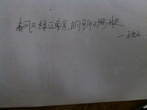 愛(ài)國(guó)情懷的古詩(shī)句,家國(guó)情懷的古詩(shī)句,關(guān)于教育情懷的古詩(shī)句