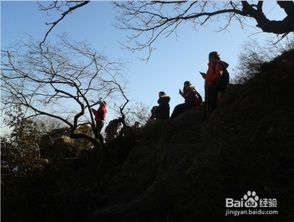 關于戶外活動爬山的詩句