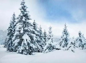 搜索關(guān)于寫雪的名詩句