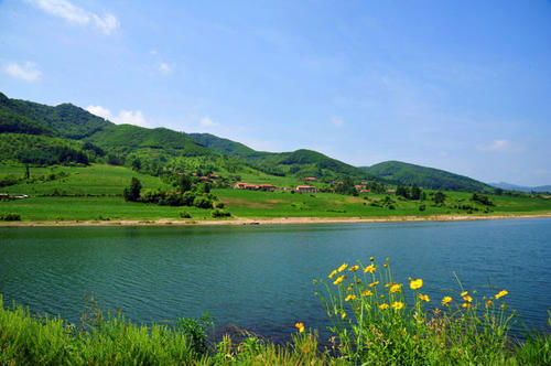 關(guān)于雞黍的古詩句有哪些